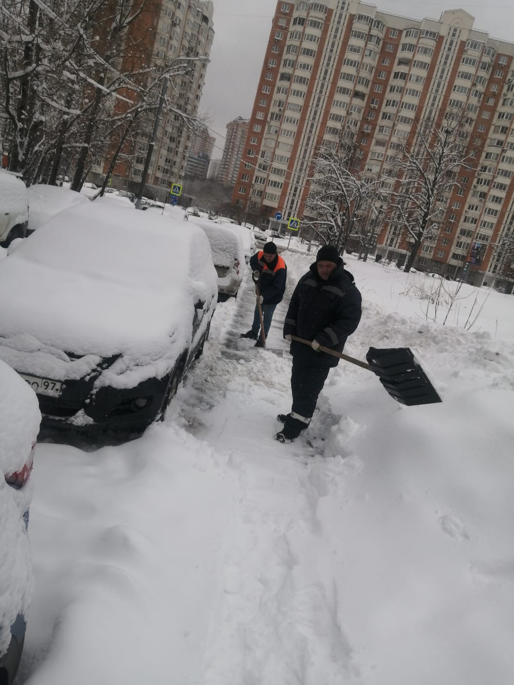 в москве выпал снег сегодня